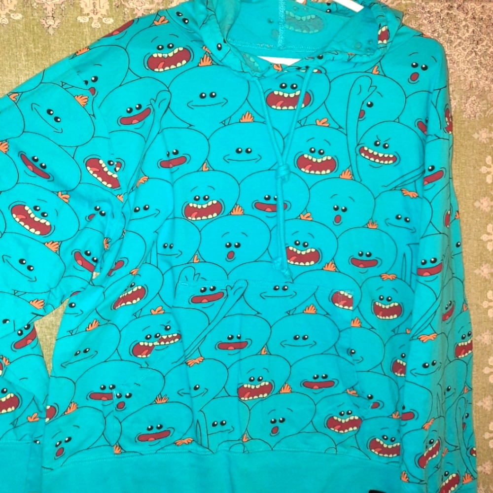 Rick and Morty Lootcrate pullover hoodie nwot XL loose fit